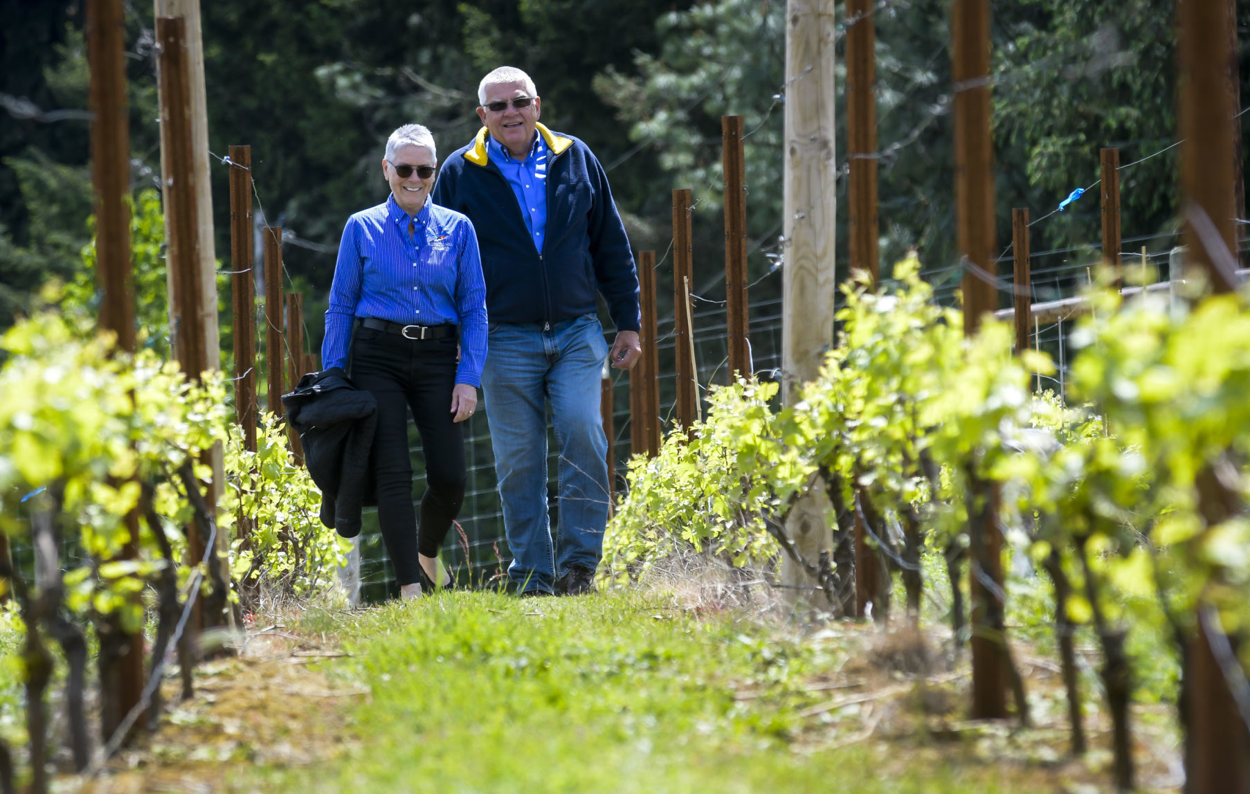 BC rest Bluebird Hills Cellars